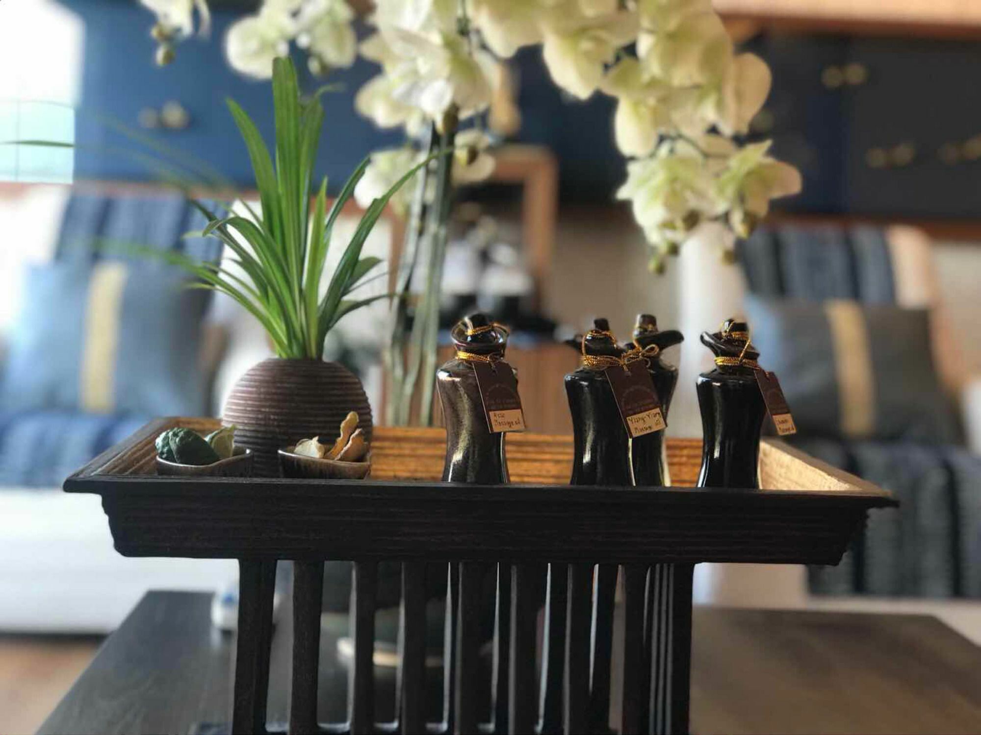 Astra Suites Central チエンマイ エクステリア 写真